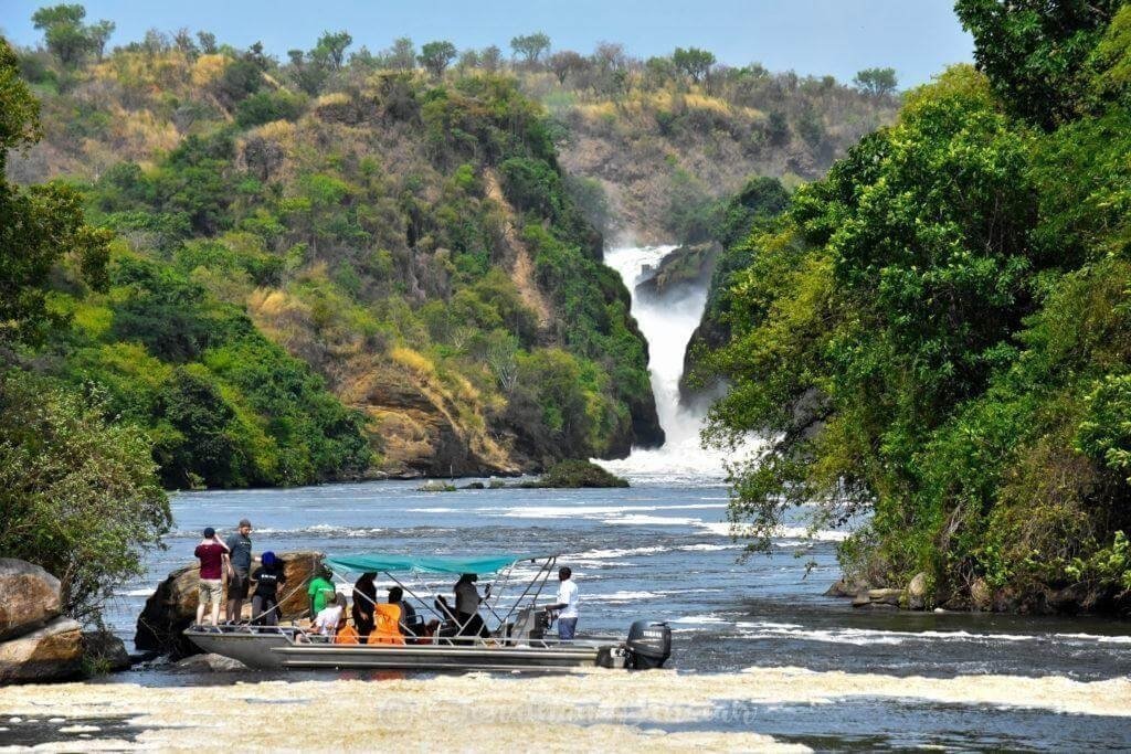    Best Uganda Africa safari tour packages